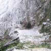 brucello-sanbuca pistoiese 010